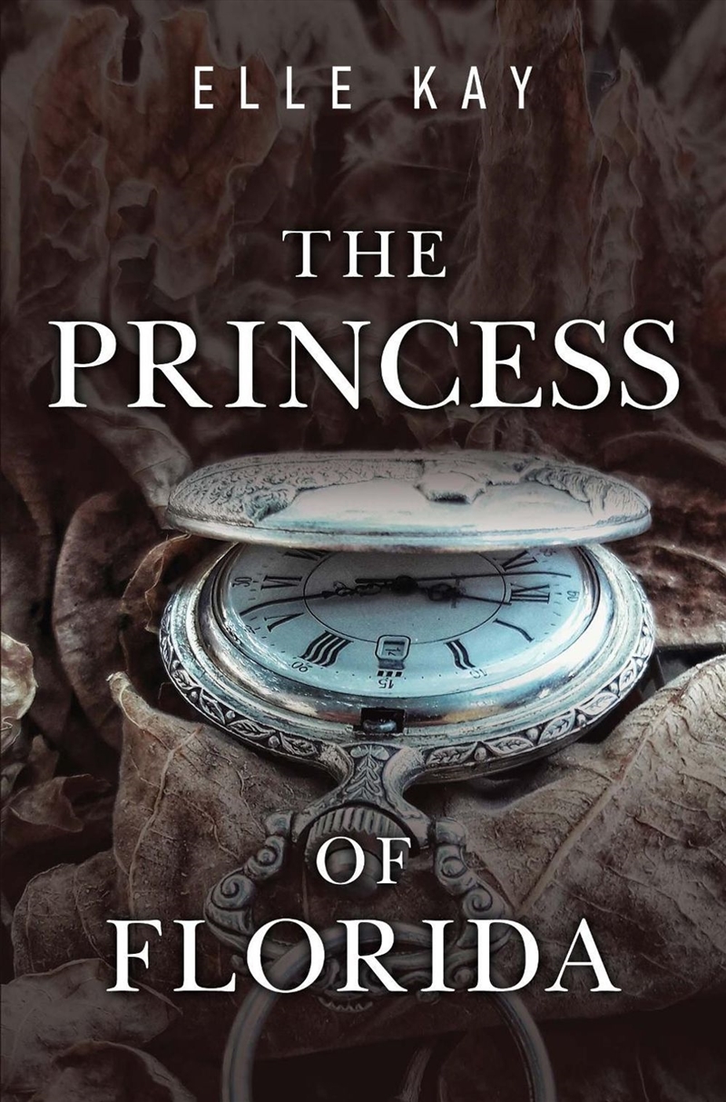 The Princess Of Florida/Product Detail/Historical Fiction