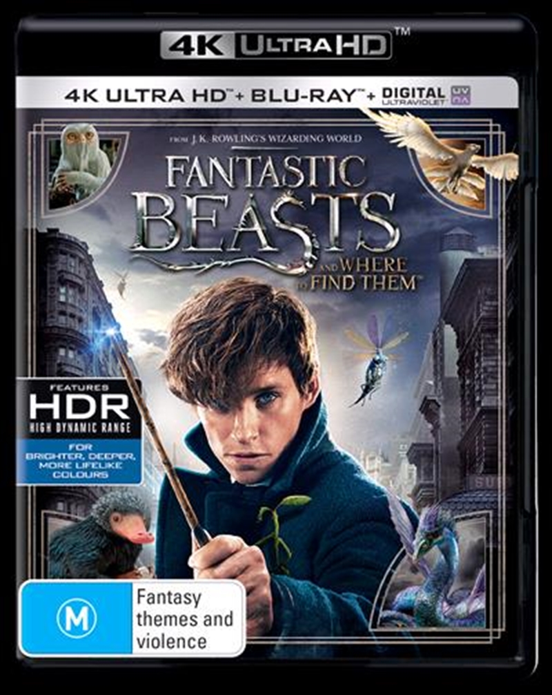 Fantastic Beasts  Blu-ray + UHD + UV/Product Detail/Fantasy