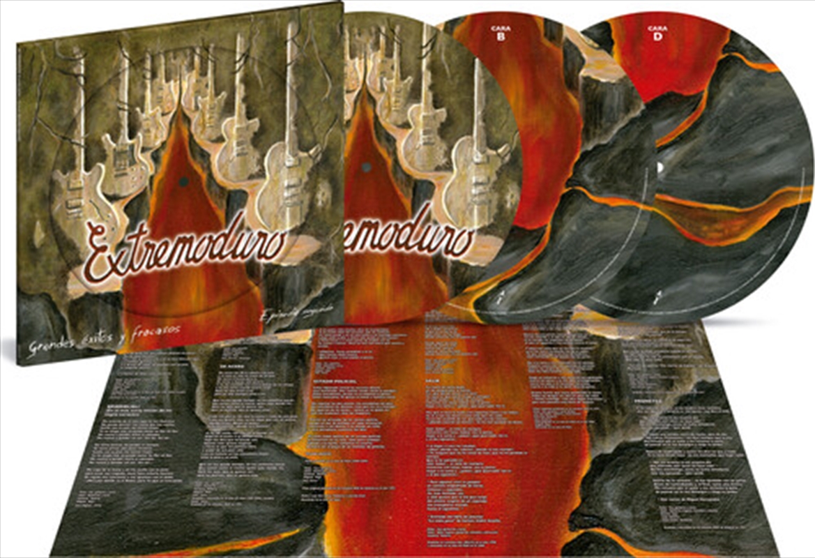 Grandes Exitos Y Fracasos Vol 2 - Ltd Picture Disc/Product Detail/Rock/Pop