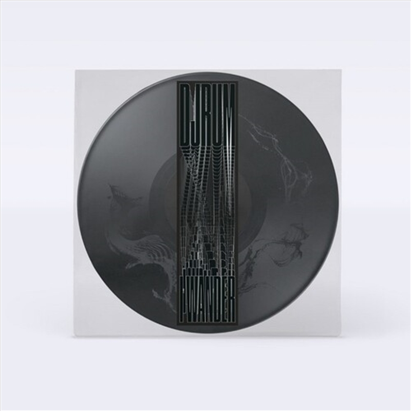 I Wander - Picture Disc Vinyl/Product Detail/Dance