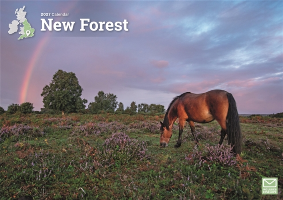 New Forest A4 Calendar/Product Detail/Calendars & Diaries