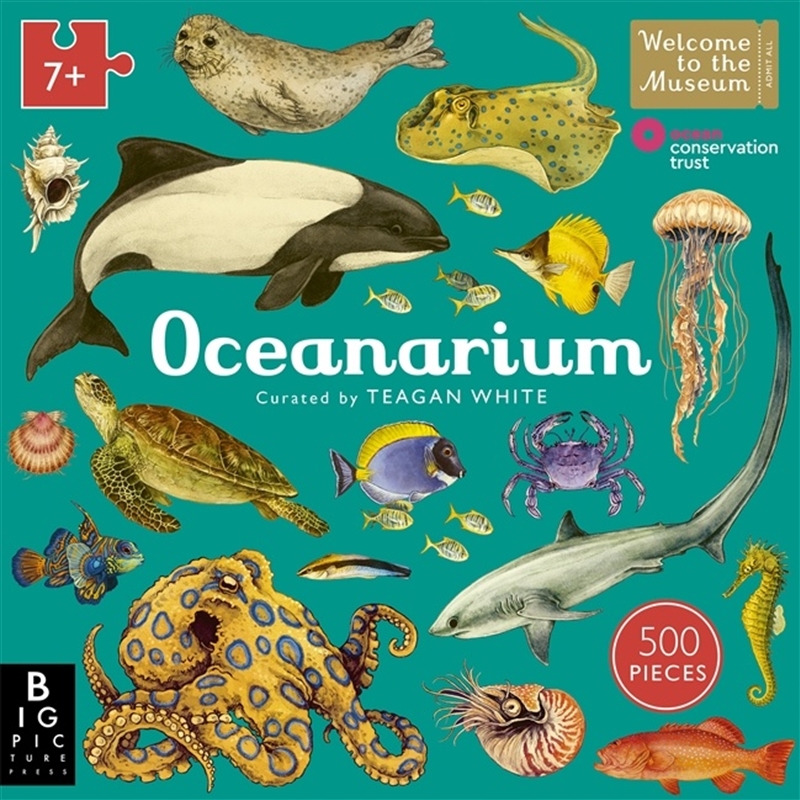 Oceanarium 500-Piece Jigsaw Puzzle/Product Detail/Jigsaw Puzzles