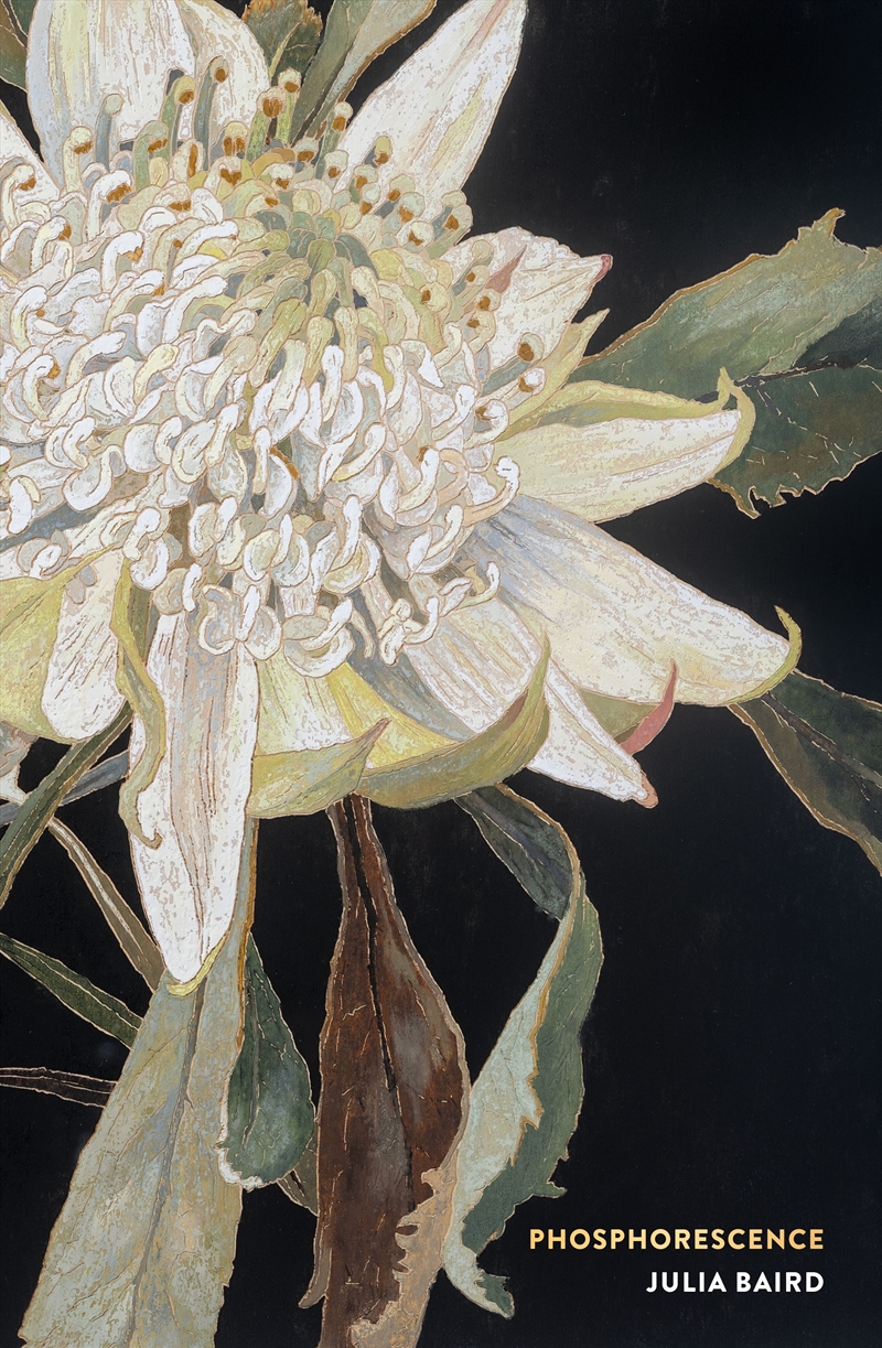 Phosphorescence Art Series Classic/Product Detail/Biographies & True Stories