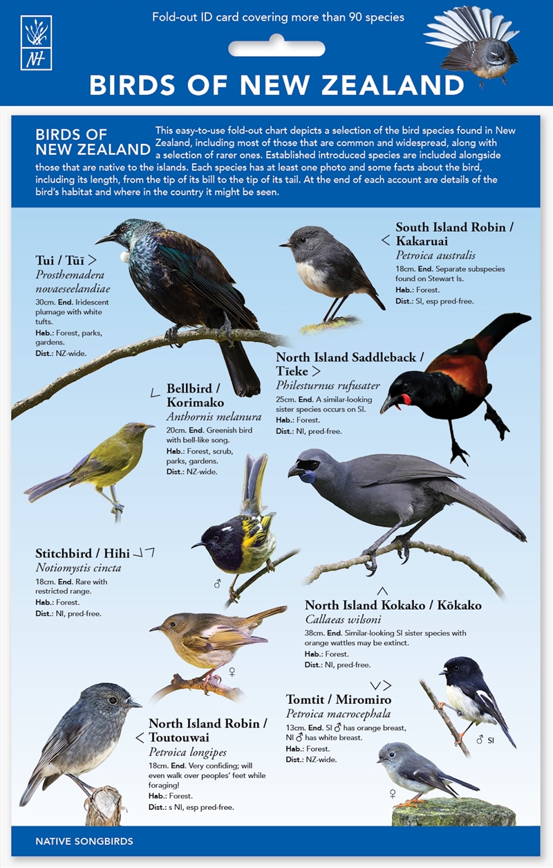 ID Chart-Birds of New Zealand/Product Detail/Animals & Nature