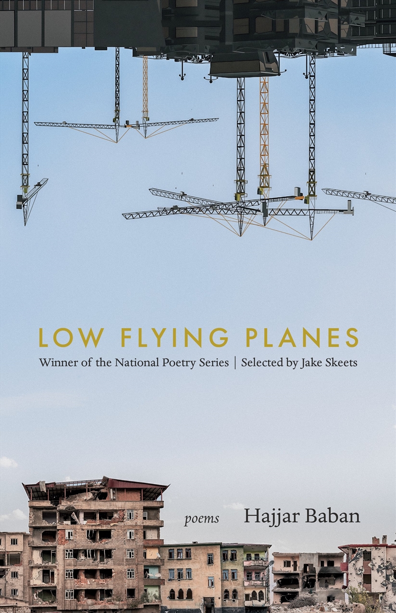 LOW FLYING PLANES/Product Detail/Literature & Poetry