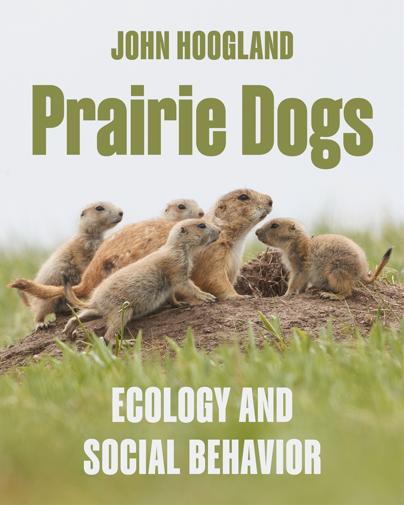 Prairie Dogs/Product Detail/Animals & Nature