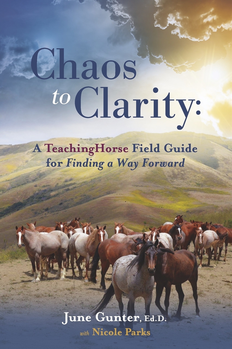 Chaos to Clarity: A TeachingHorse Field Guide for Finding a Way Forward/Product Detail/Business Leadership & Management