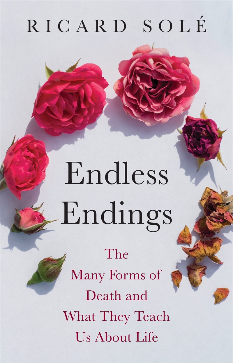 Endless Endings/Product Detail/Society & Culture