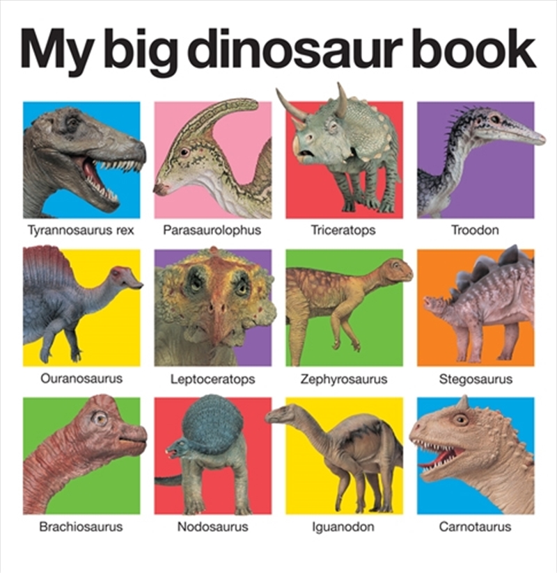 My Big Dinosaur Book/Product Detail/Early Childhood Fiction Books