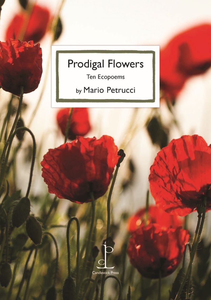 Prodigal Flowers: 10 Ecopoems/Product Detail/Literature & Poetry