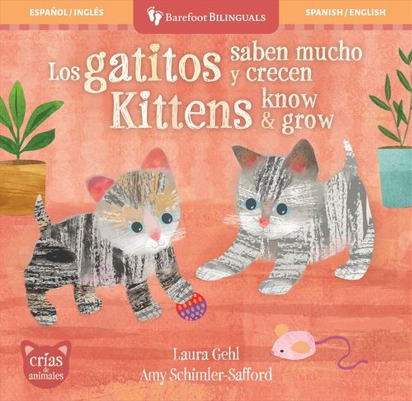Los gatitos saben mucho y crecen / Kittens Know & Grow/Product Detail/Early Childhood Fiction Books