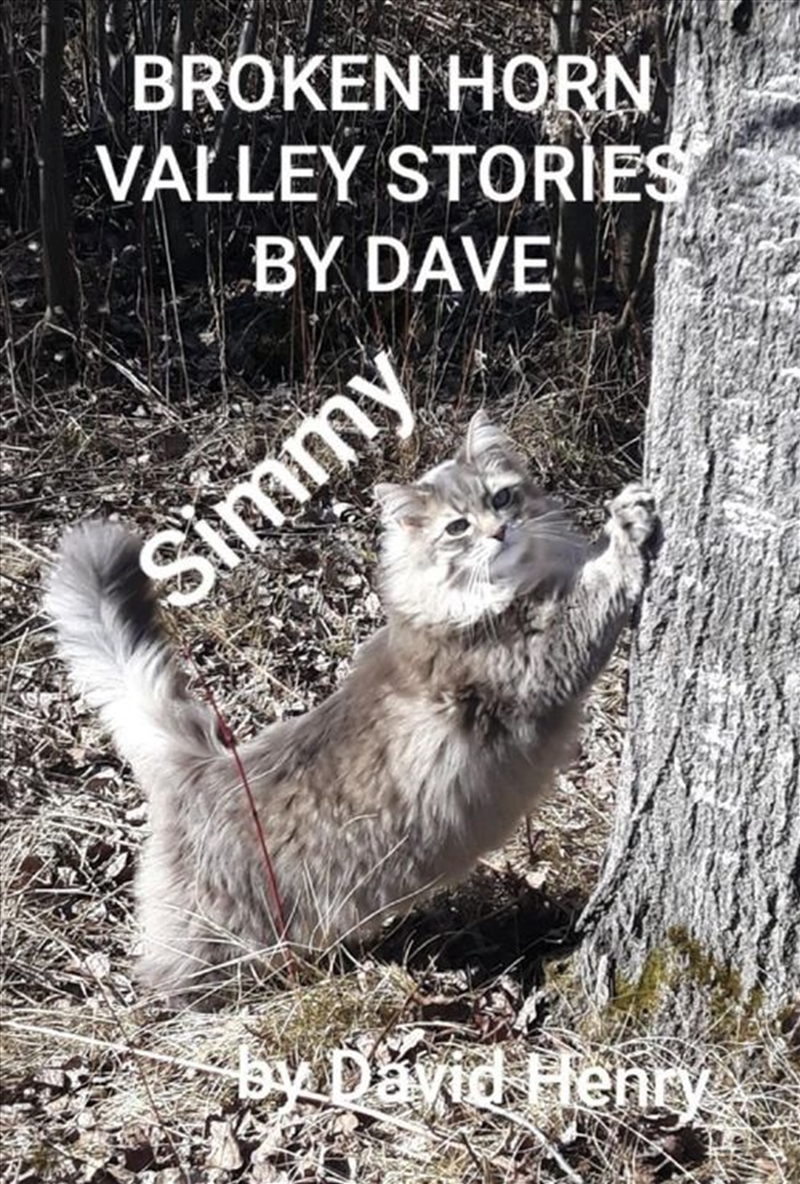 Broken Horn Valley Stories by Dave/Product Detail/Comedy