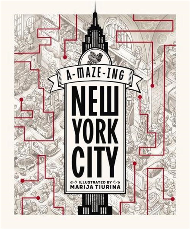 Maze Maze Nyc/Product Detail/Childrens Fiction Books