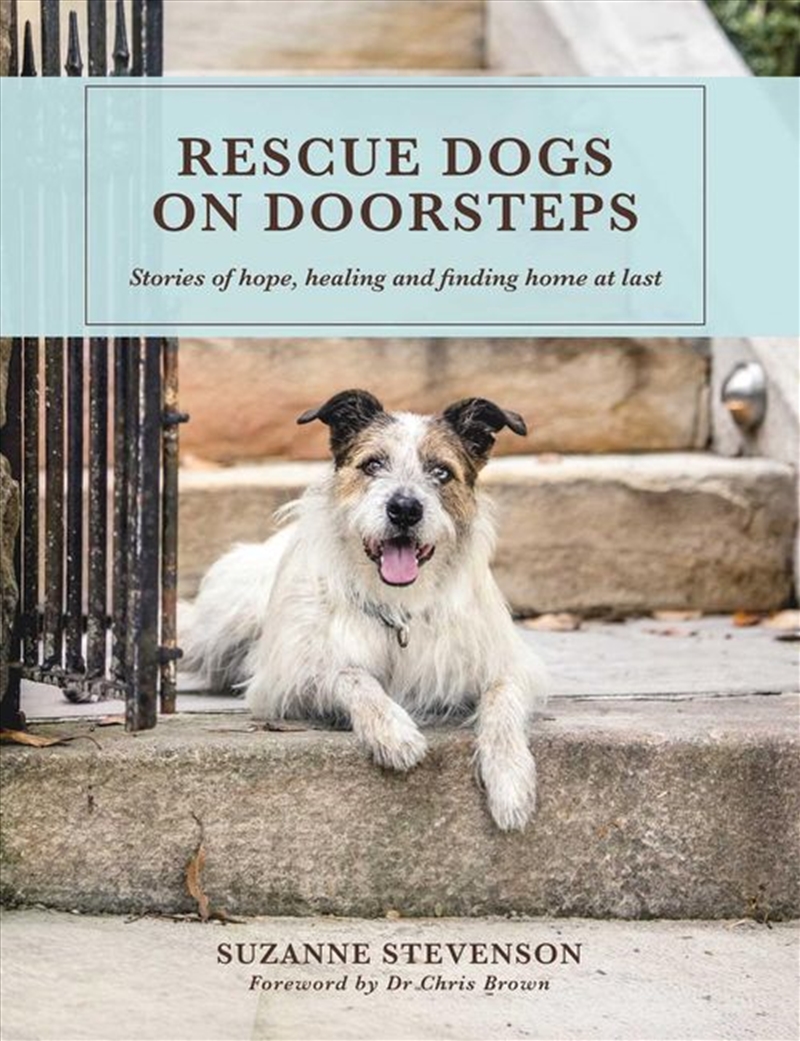 Rescue Dogs on Doorsteps/Product Detail/Photography
