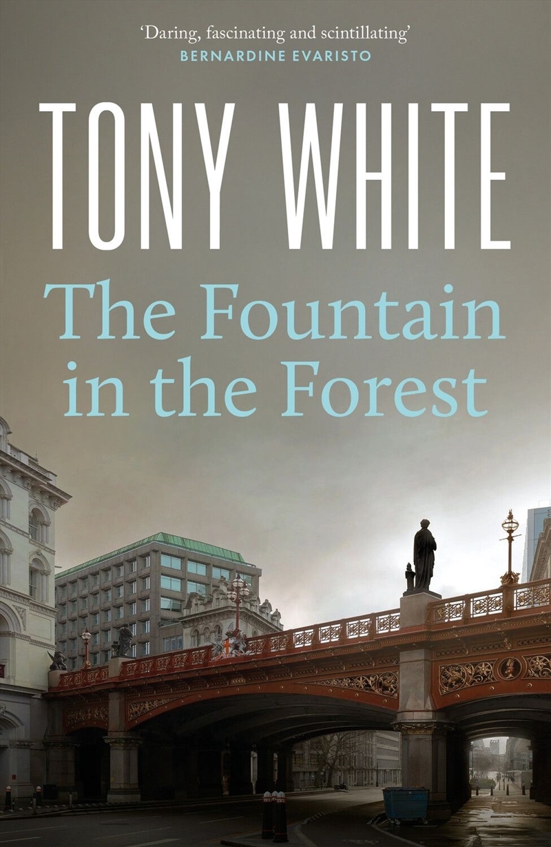 The Fountain in the Forest/Product Detail/Crime & Mystery Fiction