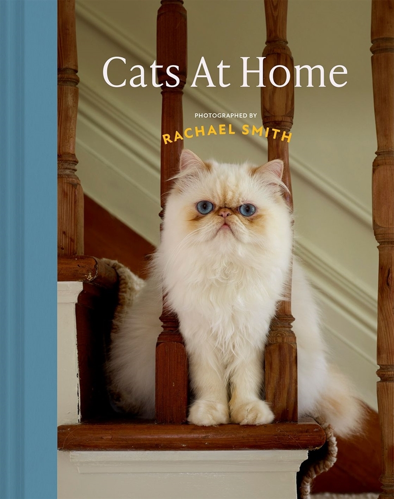 Cats at Home/Product Detail/Animals & Nature