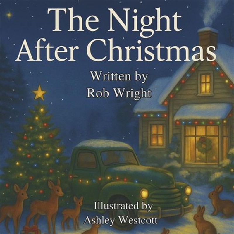 The Night After Christmas/Product Detail/Childrens Fiction Books