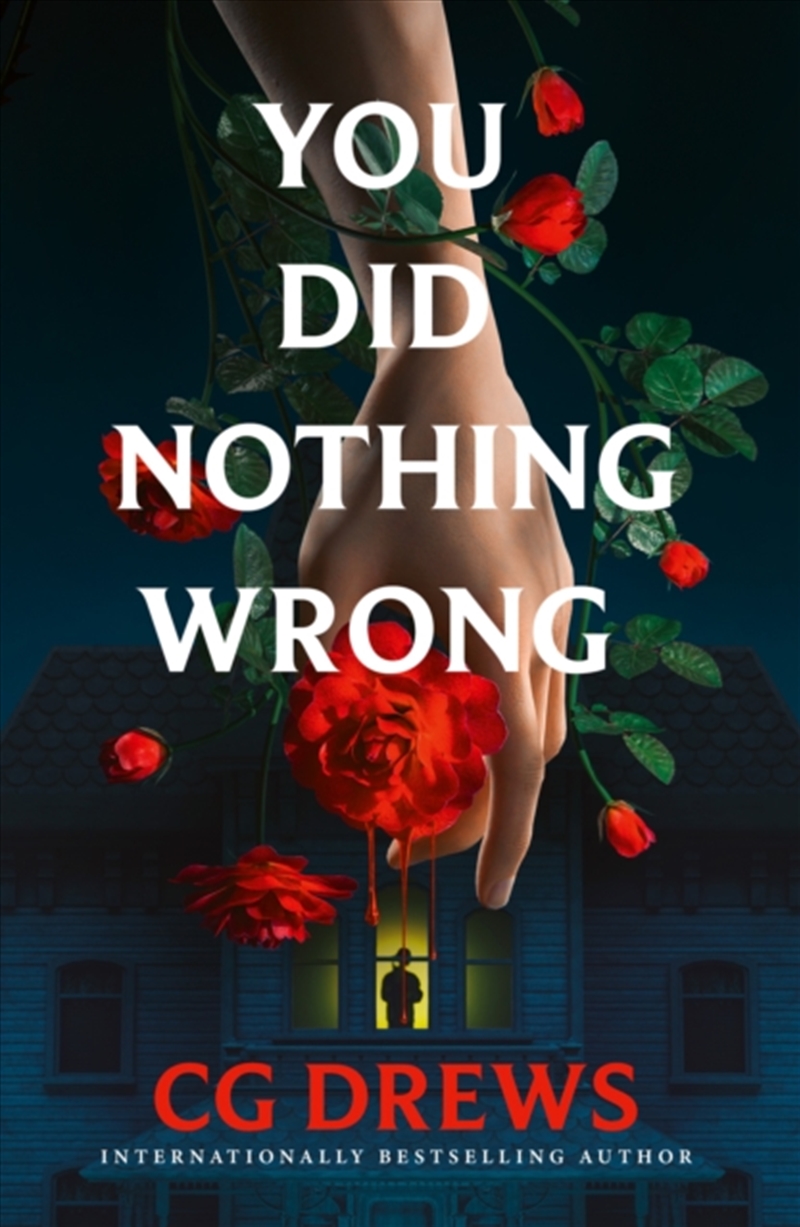 You Did Nothing Wrong/Product Detail/Thrillers & Horror Books