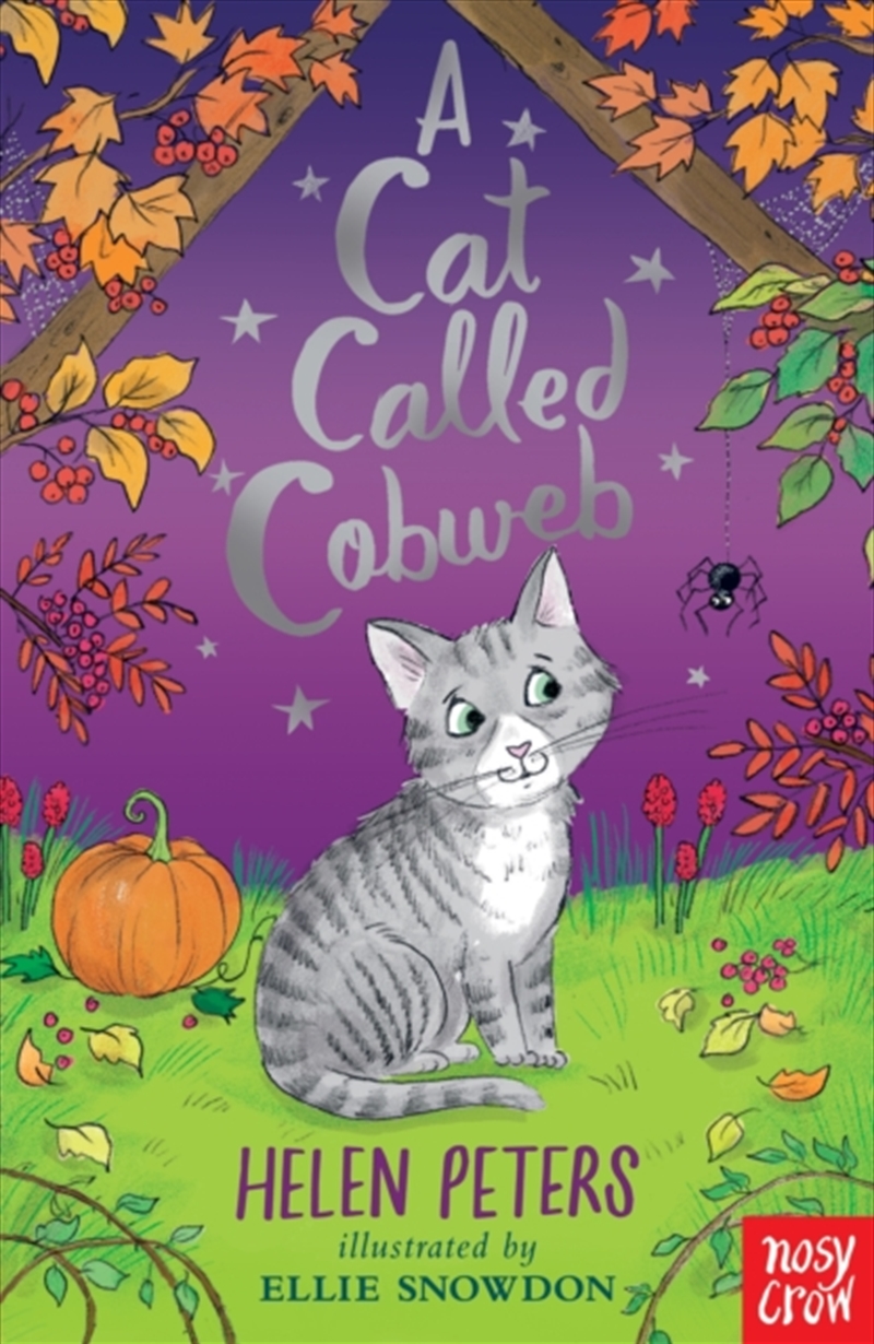 A Cat Called Cobweb/Product Detail/Childrens Fiction Books