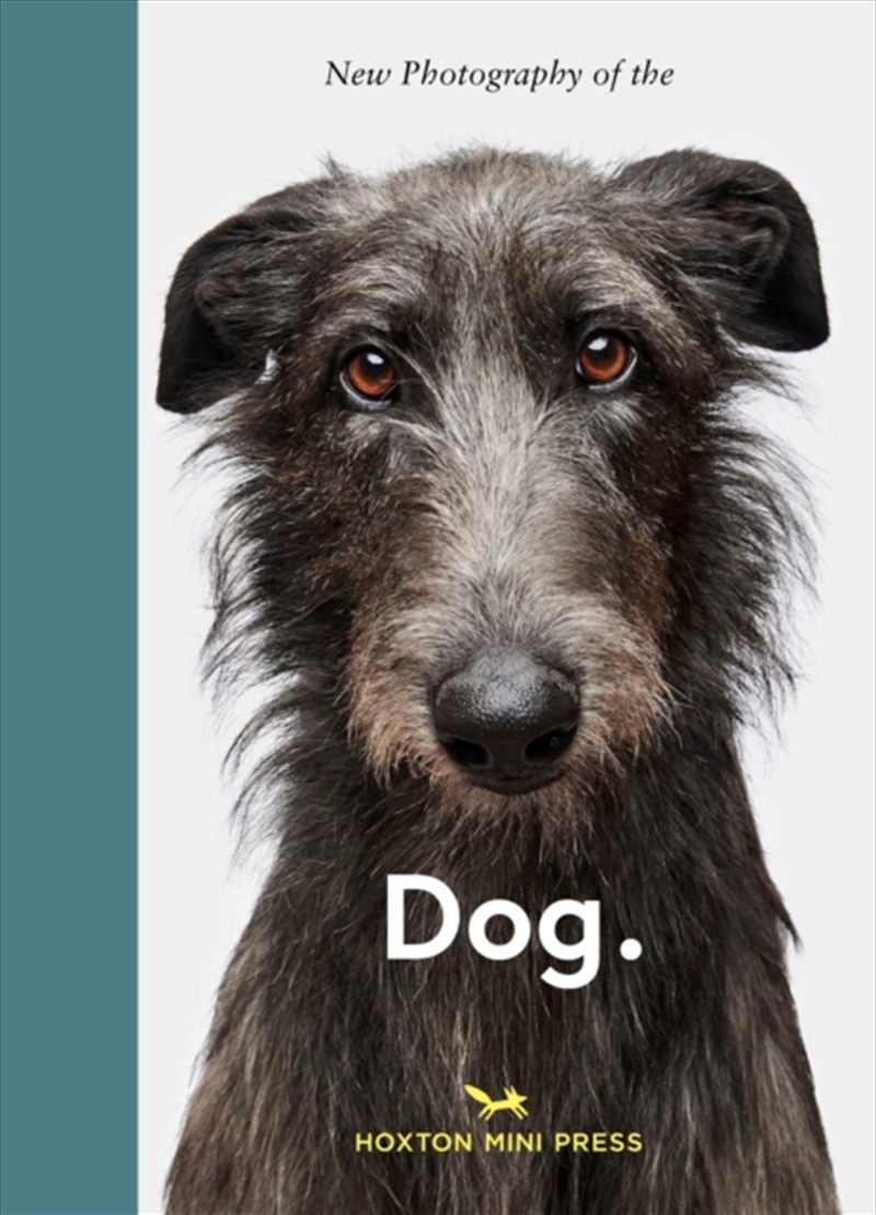 New Photography of the Dog/Product Detail/Photography