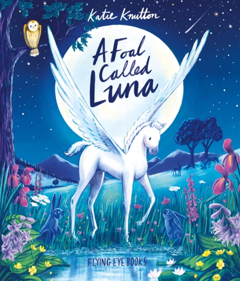 A Foal Called Luna/Product Detail/Early Childhood Fiction Books