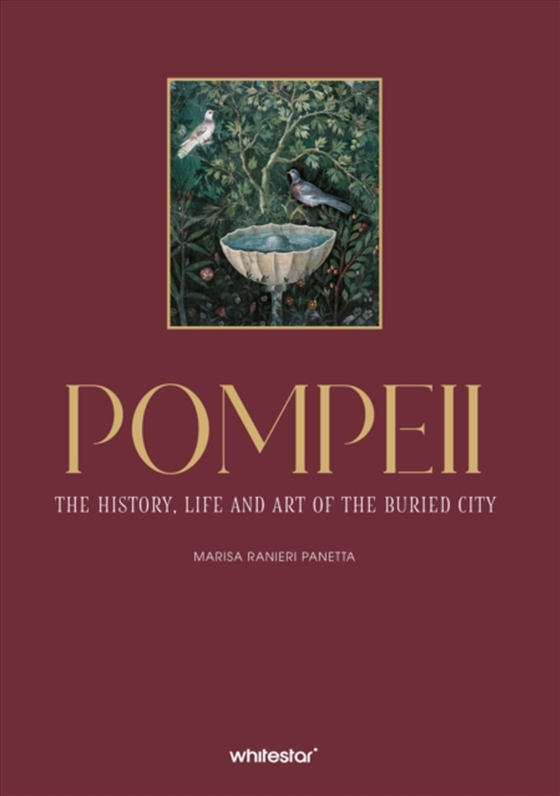 Pompeii : The History, Life, and Art of the Buried City/Product Detail/History