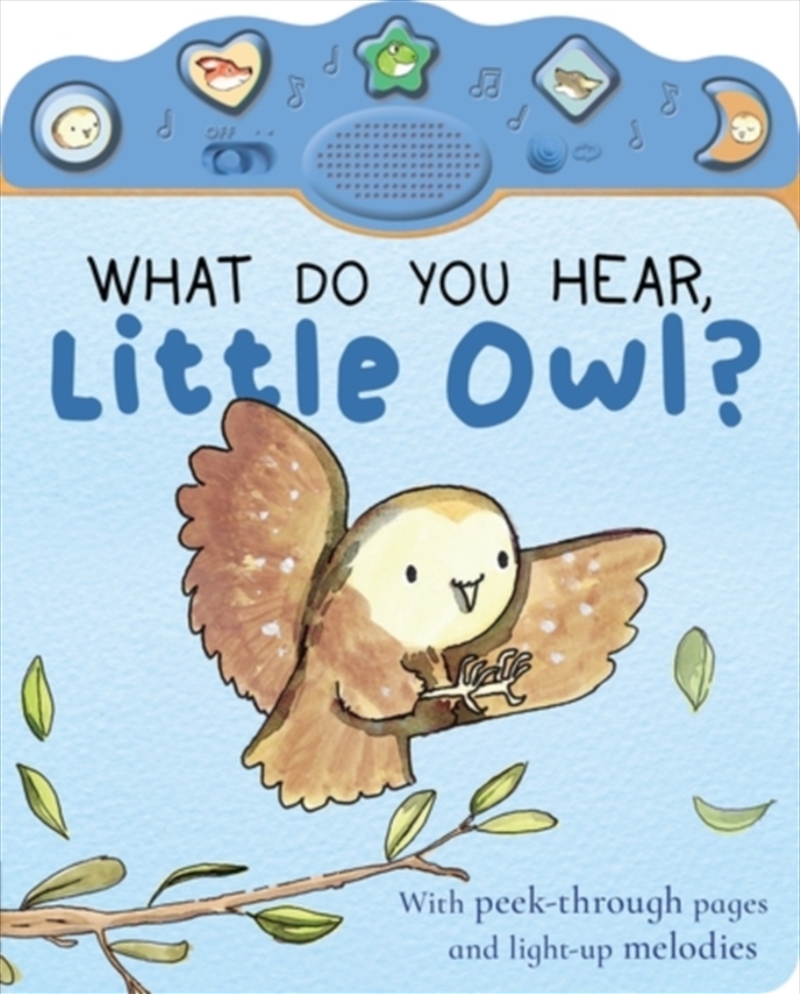 What Do You Hear, Little Owl?/Product Detail/Early Childhood Fiction Books
