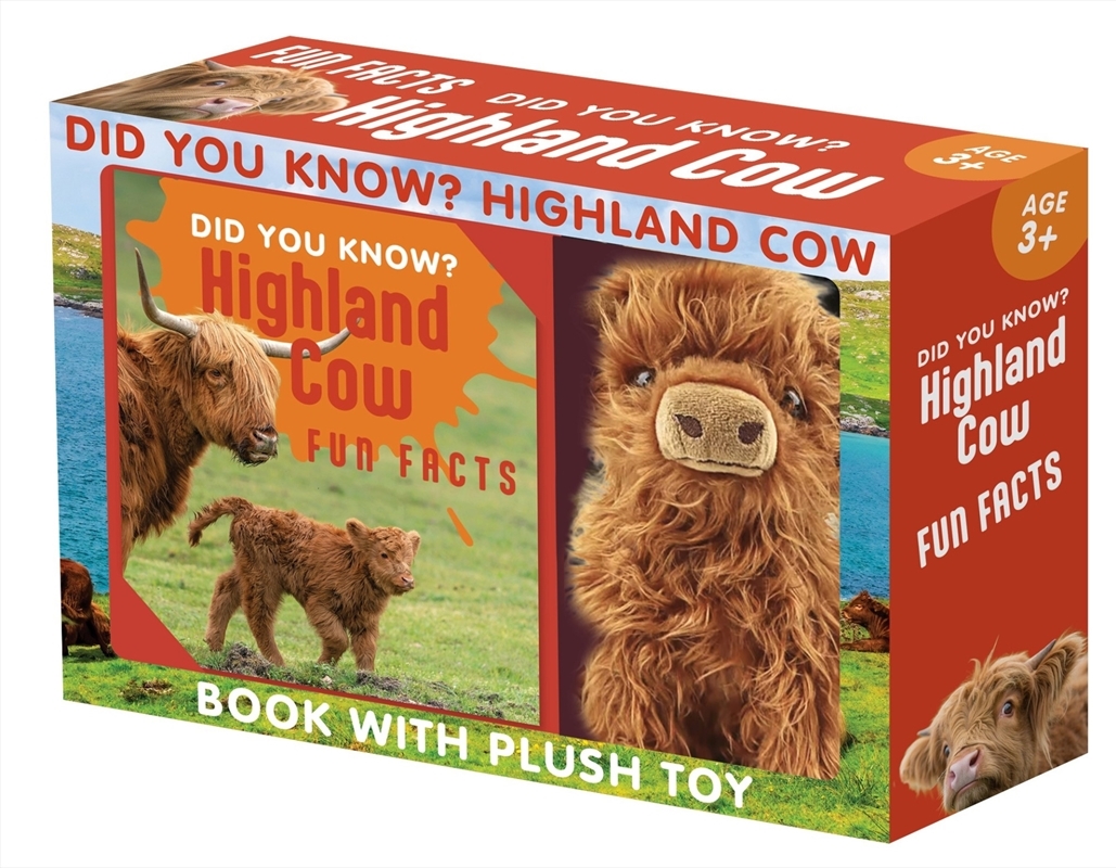 Did You Know? Highland Cow Boxed Set/Product Detail/Animals & Nature