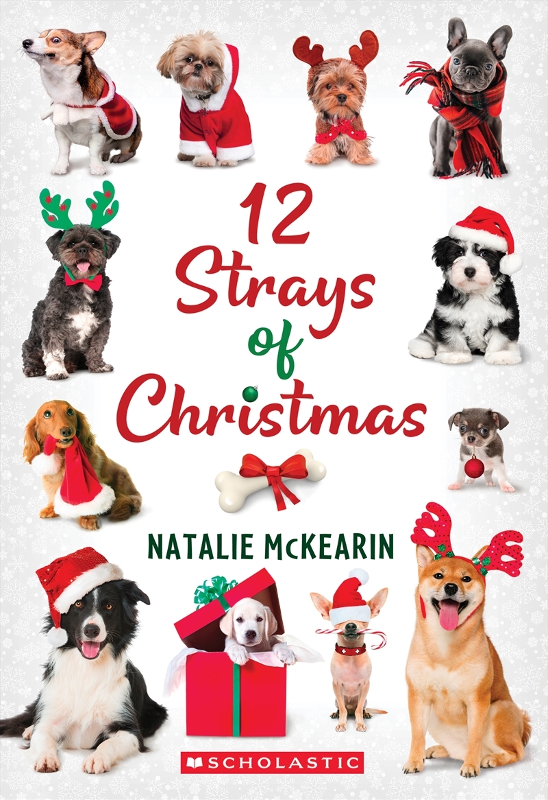 12 Strays of Christmas/Product Detail/Childrens Fiction Books