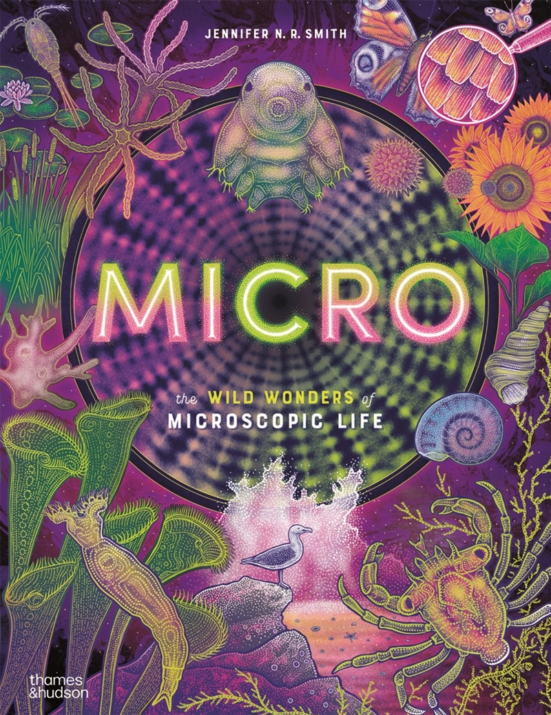 Micro/Product Detail/Early Childhood Fiction Books