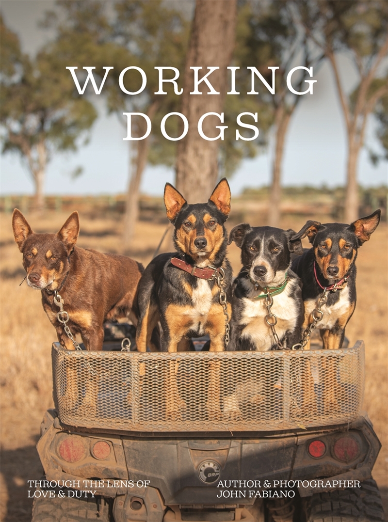 Working Dogs/Product Detail/Photography