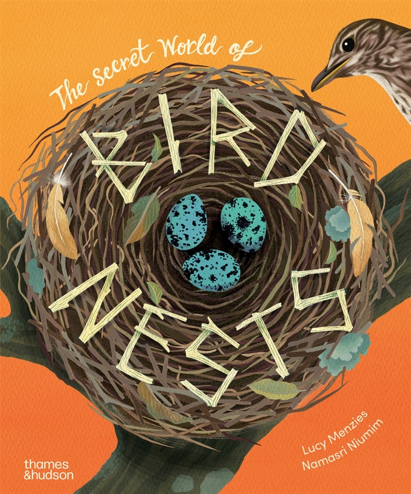 The Secret World of Bird Nests/Product Detail/Childrens