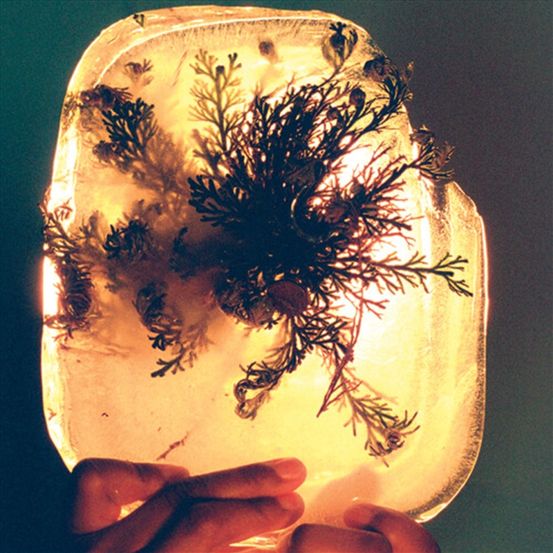 Fata Morgana - Rose Of Jericho Glow Vinyl/Product Detail/Rock/Pop