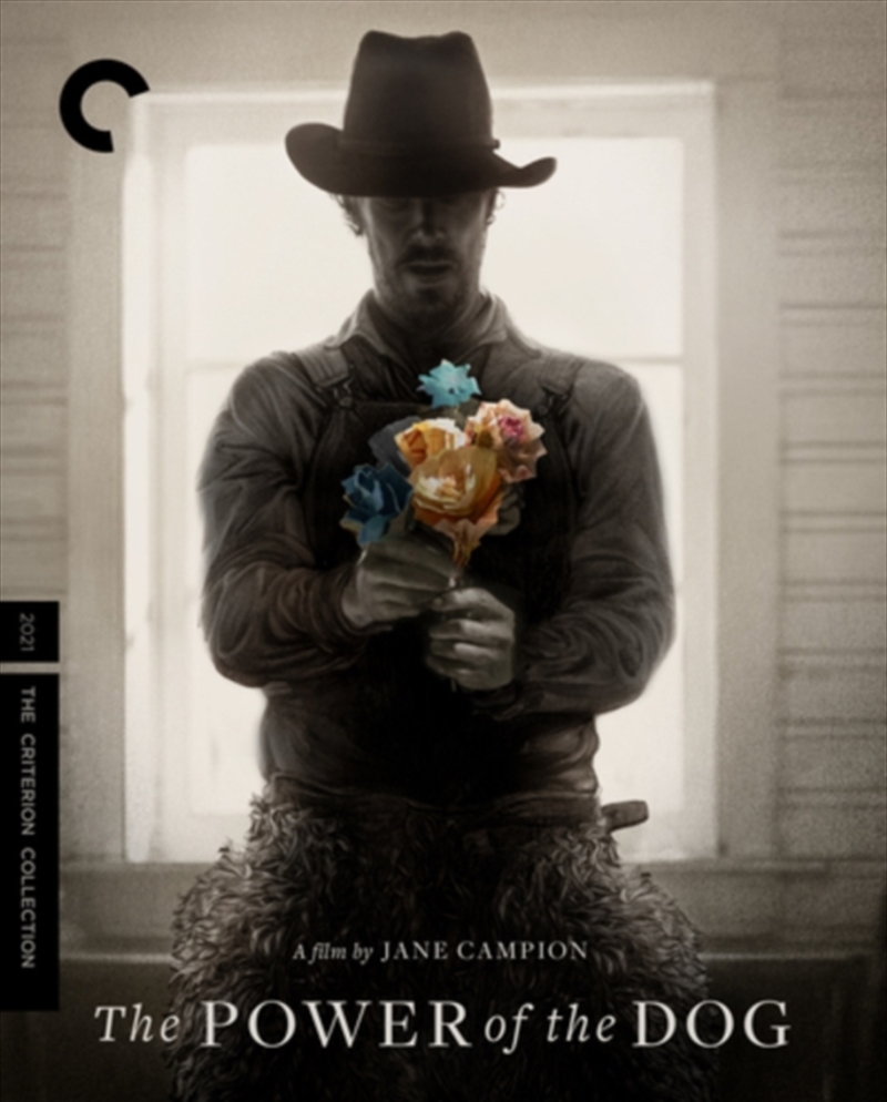 The Power Of The Dog/Product Detail/Western