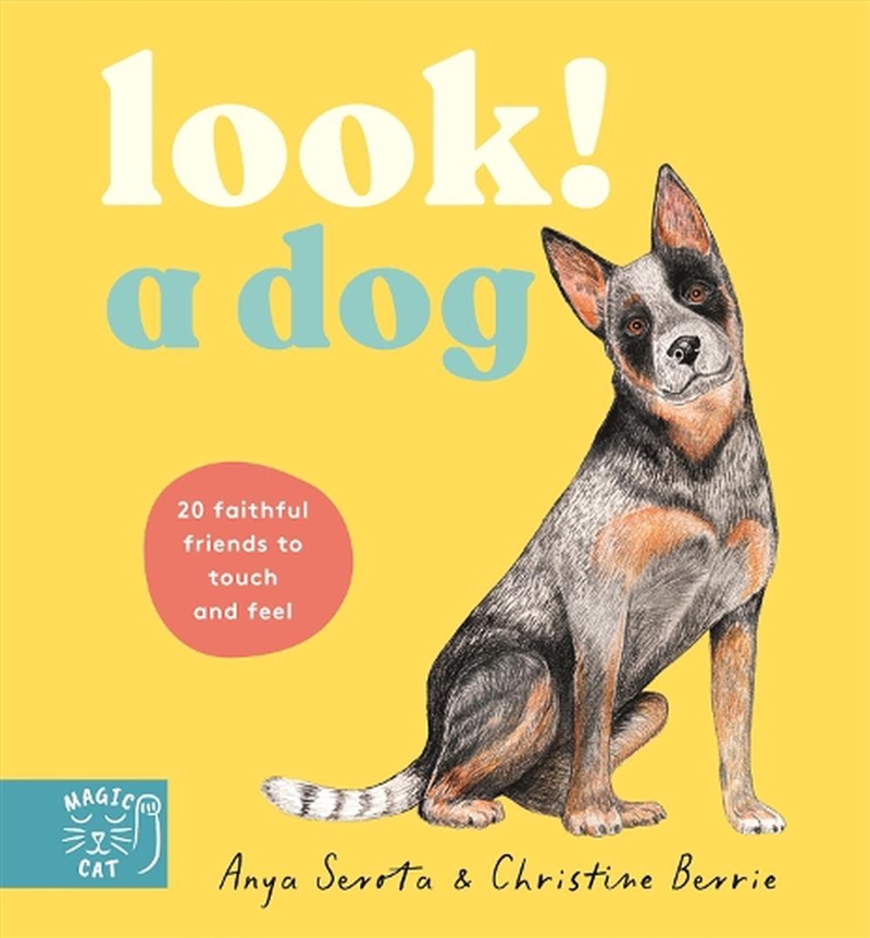 Look! A Dog!/Product Detail/Early Childhood Fiction Books