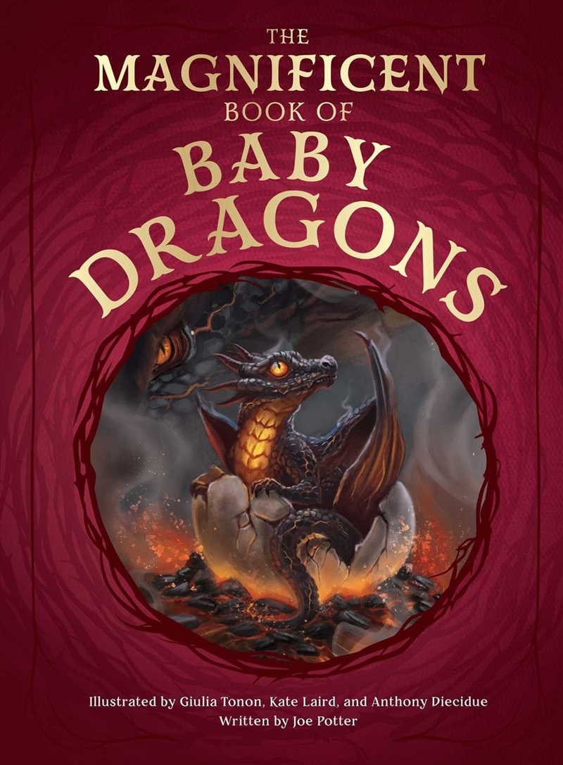 The Magnificent Book of Baby Dragons/Product Detail/Childrens Fiction Books