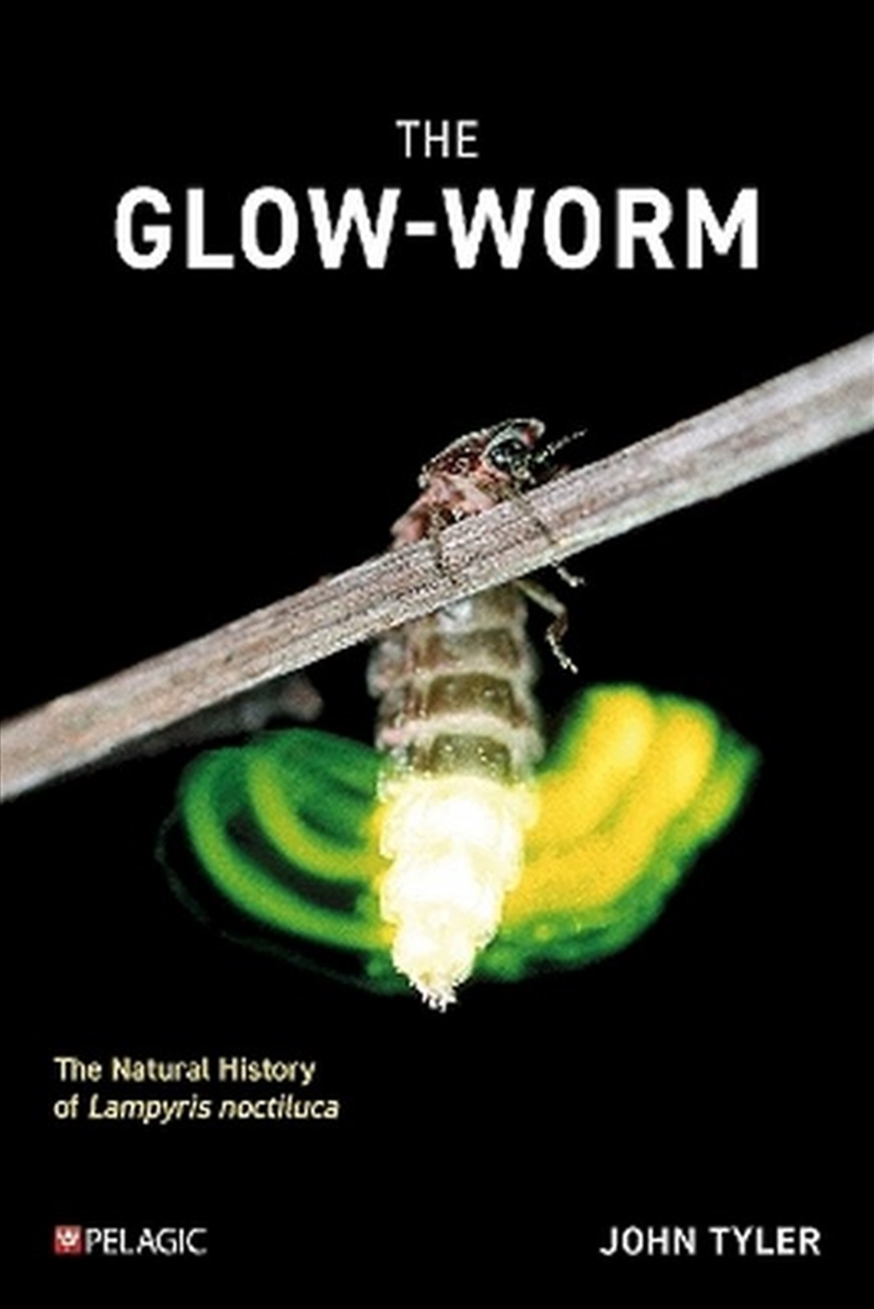 The Glow-worm/Product Detail/Animals & Nature