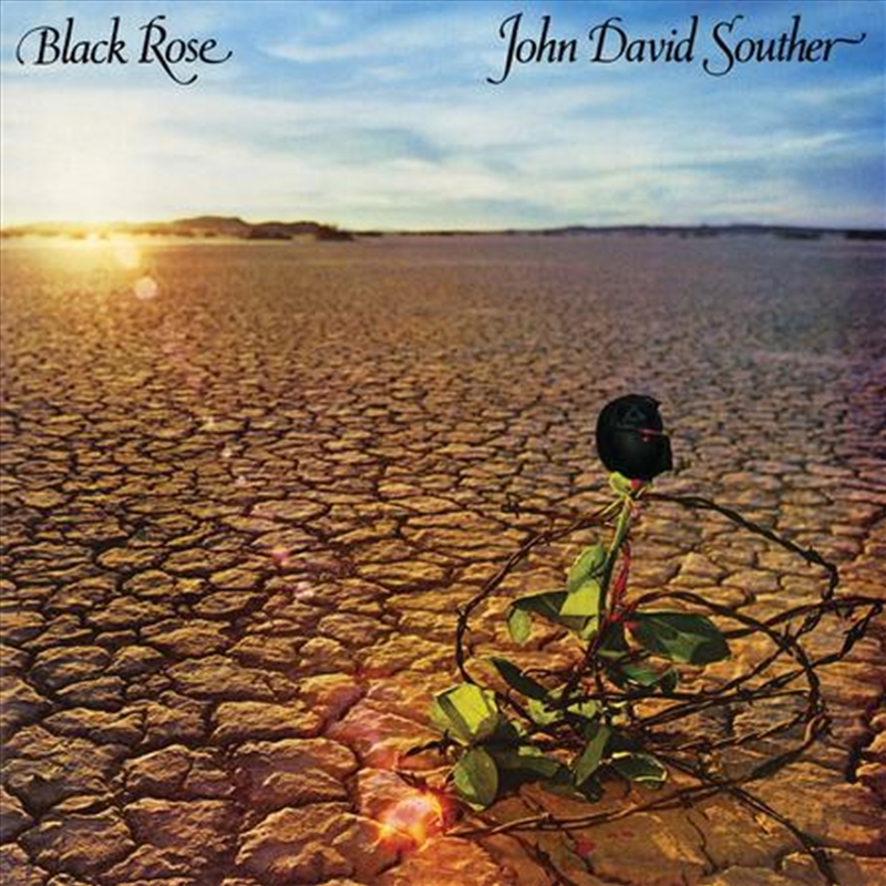 Black Rose/Product Detail/Rock/Pop