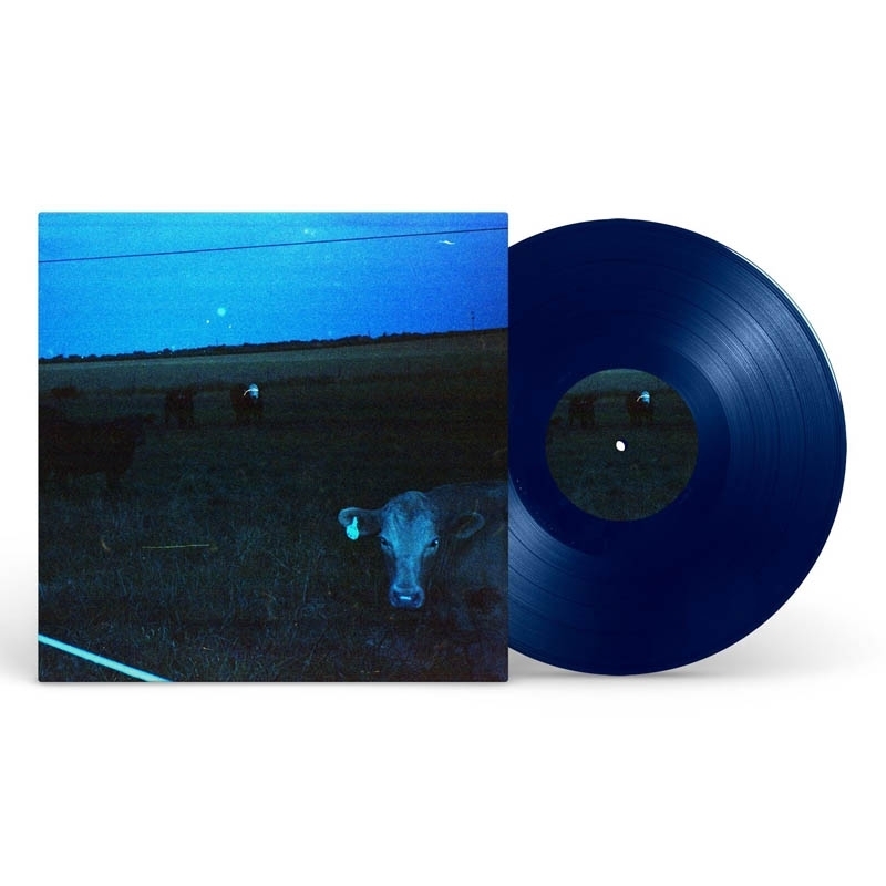 Antarctica - Dark Blue/Product Detail/Alternative