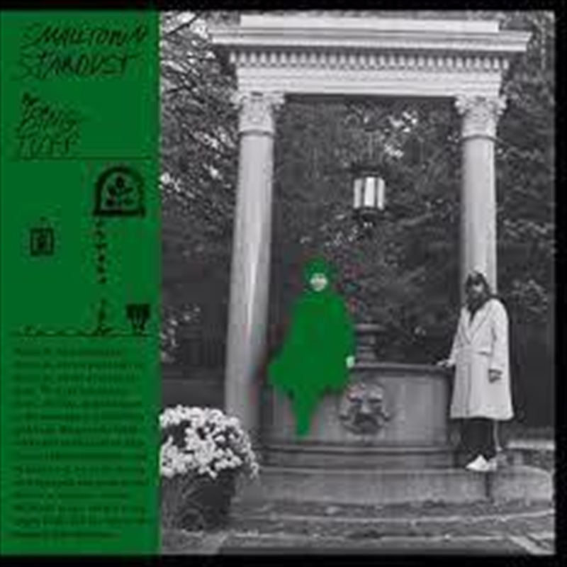 Smalltown Stardust/Product Detail/Alternative