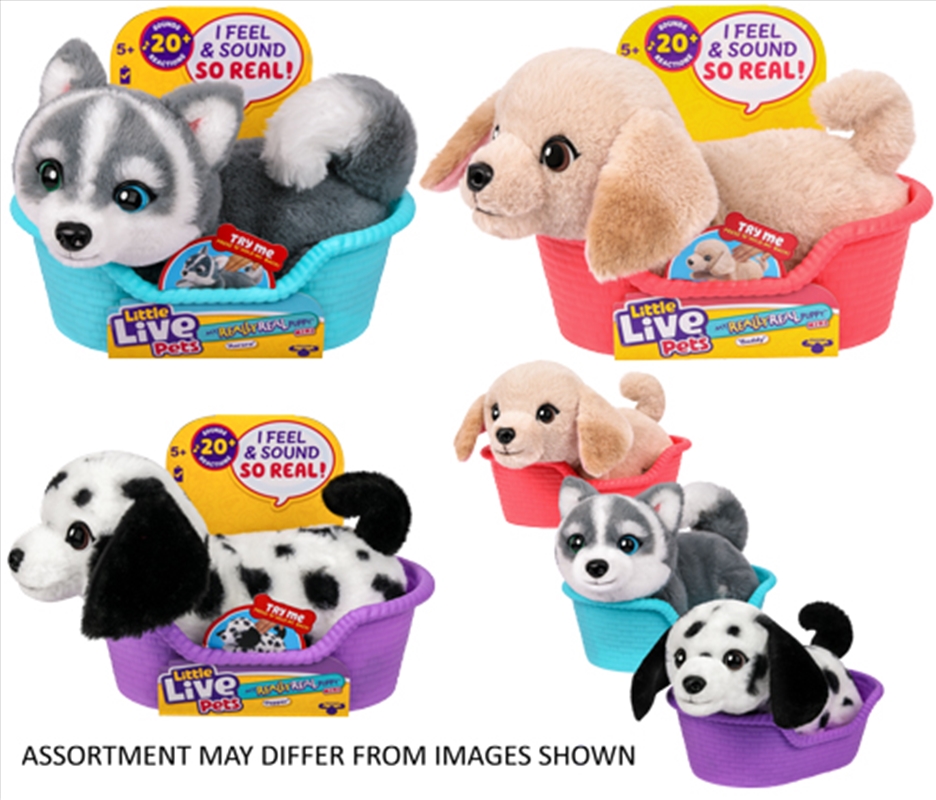 Little Live Pets My Really Real Mini Puppy assorted  (Sent At Random)/Product Detail/Toys