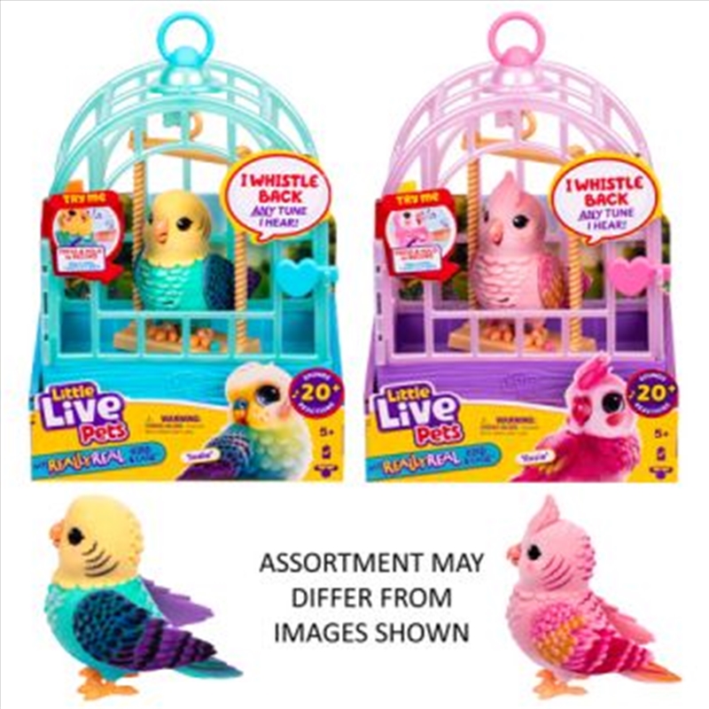 Little Live Pets My Really Real Bird & Cage assorted  (Sent At Random)/Product Detail/Toys