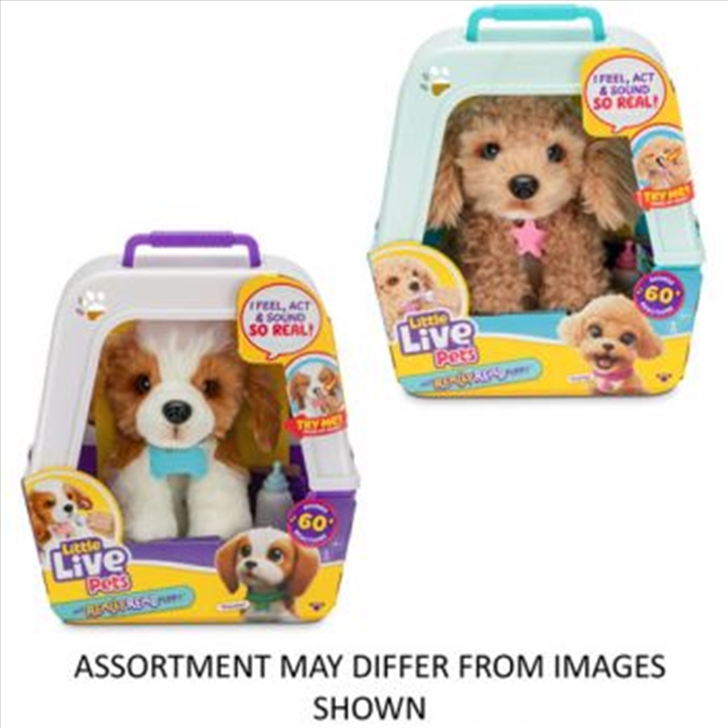 Little Live Pets My Really Real Puppy assorted (Sent At Random)/Product Detail/Toys