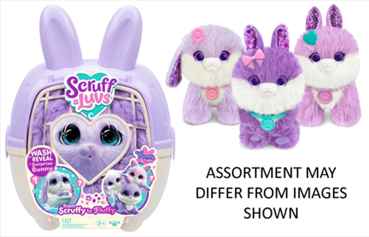 Scruff-A-Luvs Bunny Single Pack assorted  (Sent At Random)/Product Detail/Toys