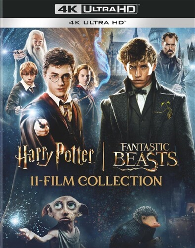 Harry Potter and Fantastic Beasts 11-Film Collection/Product Detail/Fantasy