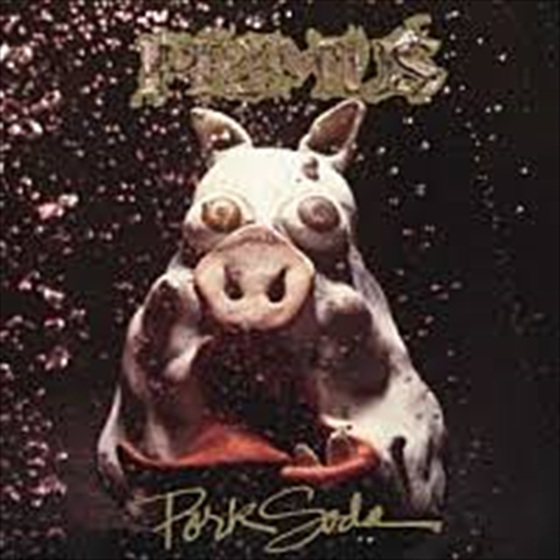 Pork Soda/Product Detail/Rock/Pop