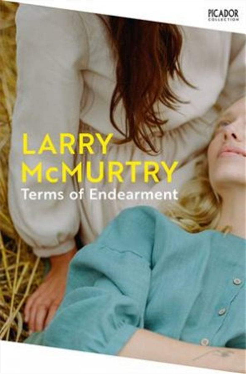 Terms of Endearment/Product Detail/Historical Fiction