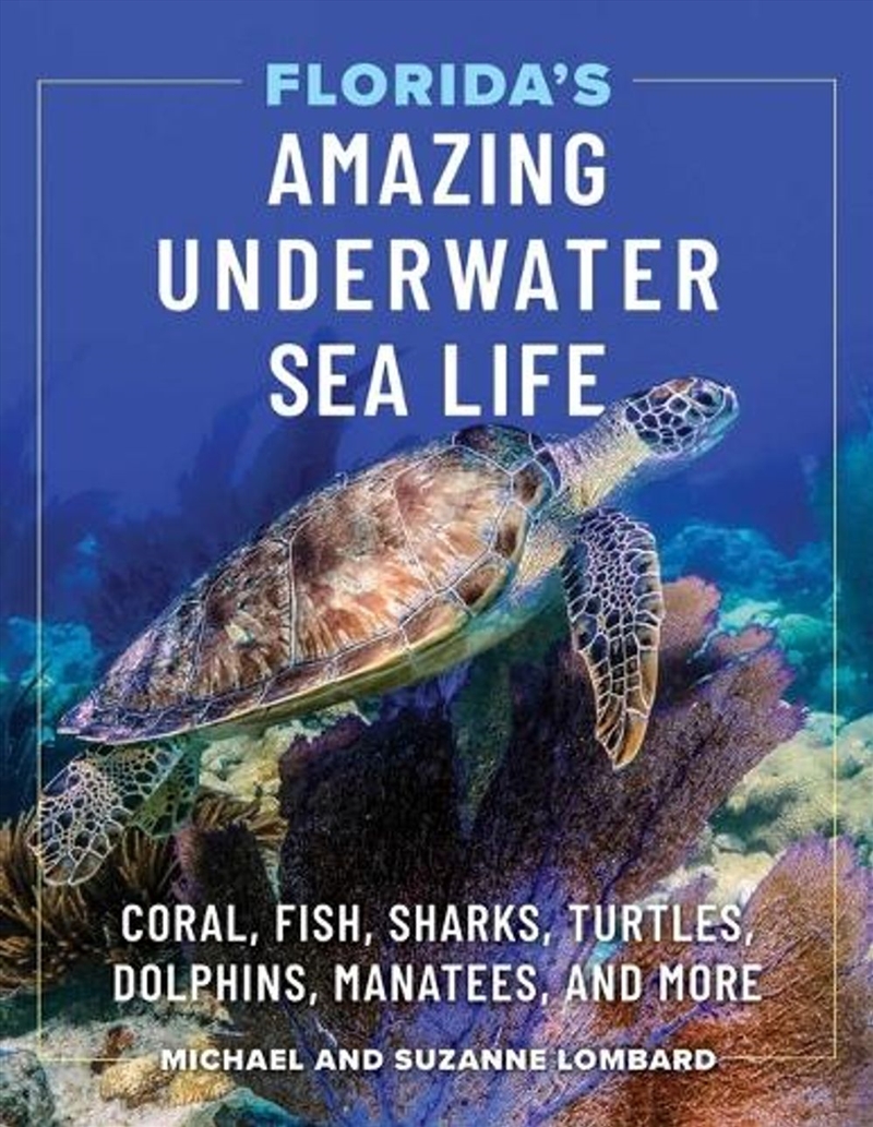 Florida's Amazing Underwater Sea Life/Product Detail/Animals & Nature