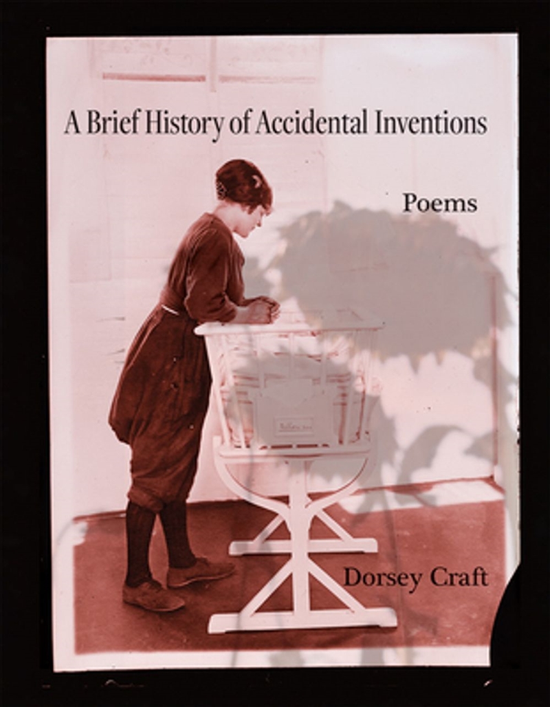 A Brief History of Accidental Inventions, Volume 47/Product Detail/Literature & Poetry