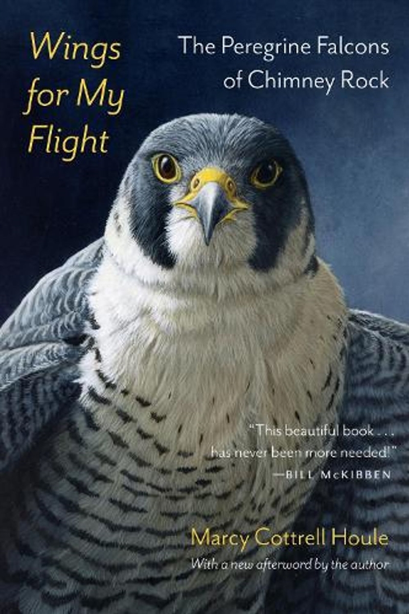 Wings for My Flight/Product Detail/Animals & Nature